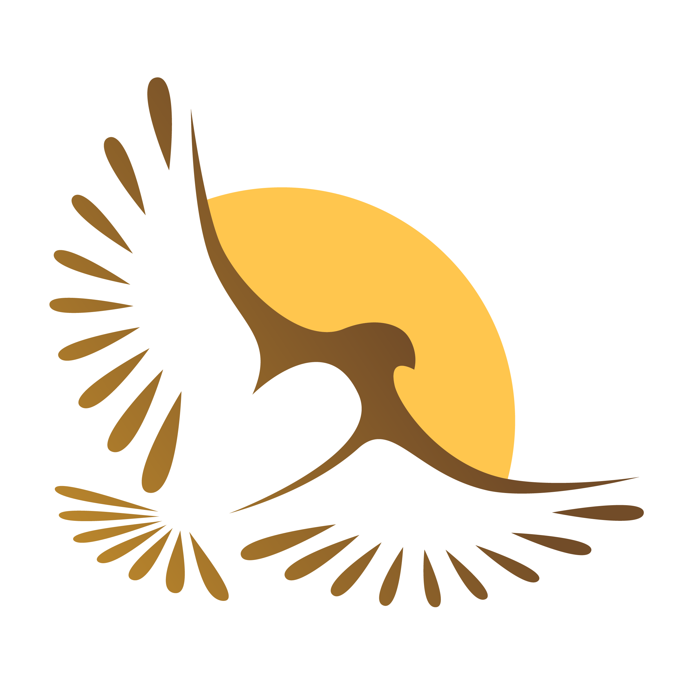 Welcome to Litchfield Acre Network